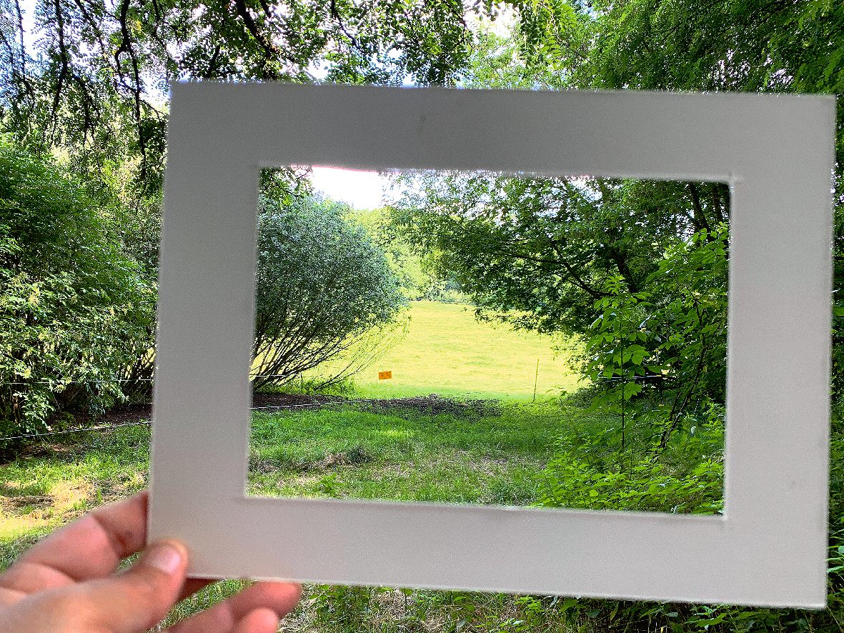 Wald Blick durch Rahmen